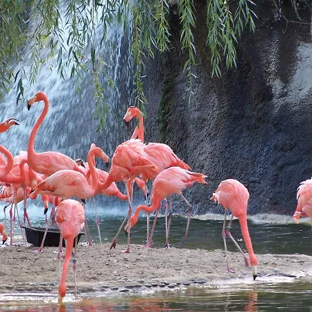 Cosy Lili - Mobilhome Mandarine - Proche Océan *