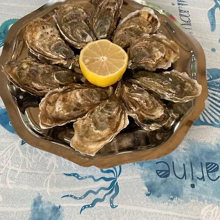 Chalet Cosy Lili - Mobilhome Mandarine - Proche Océan Saint-Georges-de-Didonne