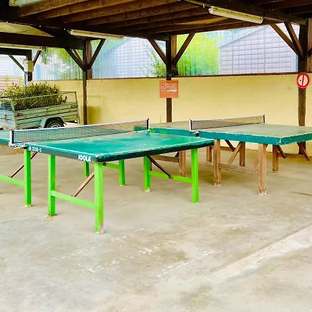 Cosy Lili - Mobilhome Mandarine - Proche Océan * Saint-Georges-de-Didonne