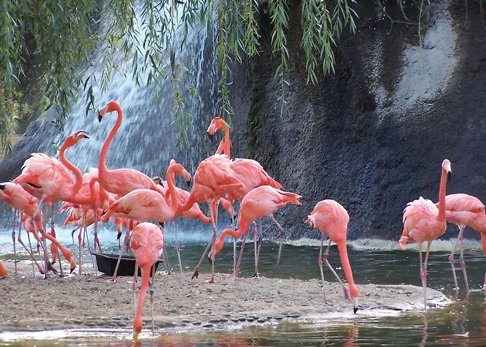 Cosy Lili - Mobilhome Mandarine - Proche Ocean *