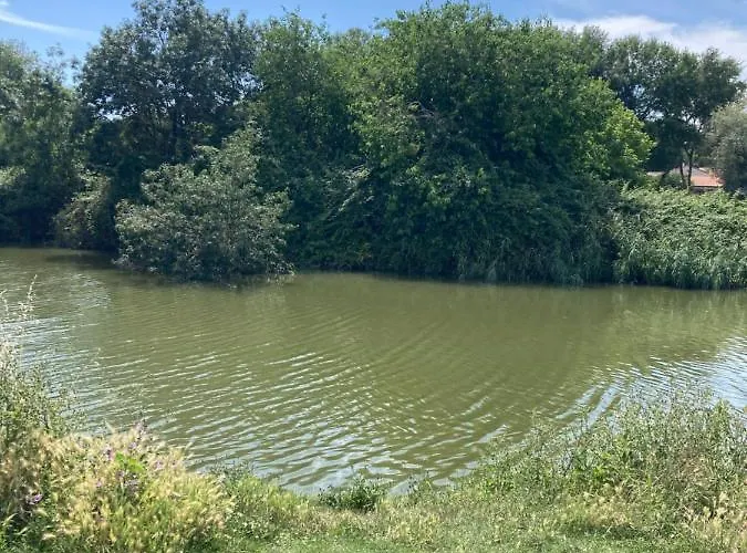 Cosy Lili - Mobilhome Mandarine - Proche Ocean 木屋