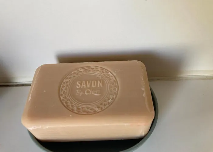 Cosy Lili - Mobilhome Mandarine - Proche Ocean *